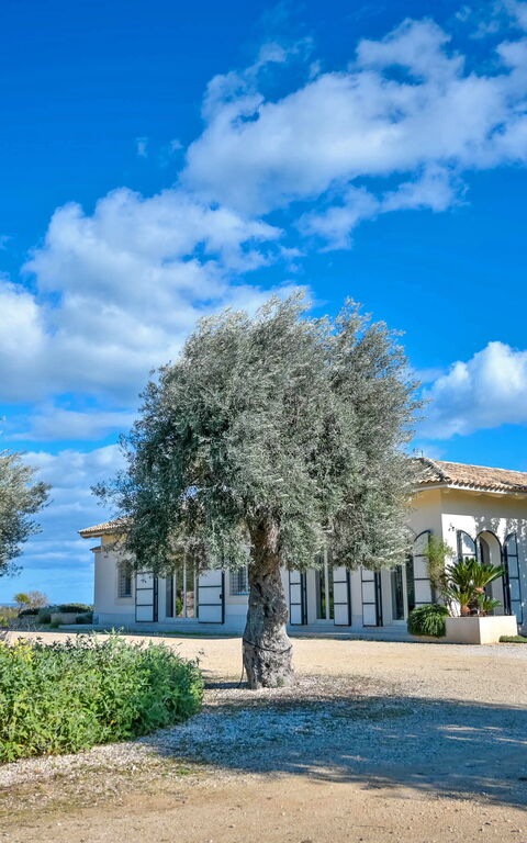 Tenuta Olearum: Sommar, Trädgård