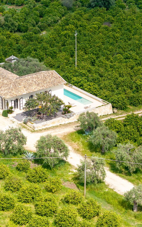Tenuta Olearum: Visningar