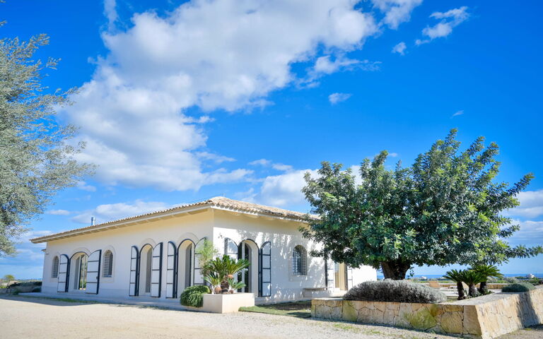 Tenuta Olearum: Trädgård