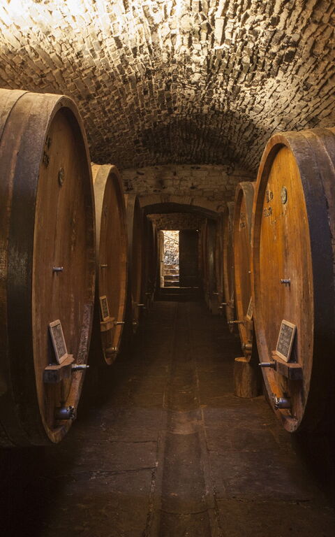 Villa Paneretta: Aktiviteter, Bekvämligheter