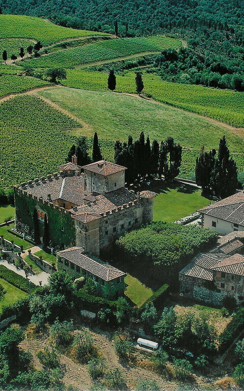 Villa Paneretta: Utomhus