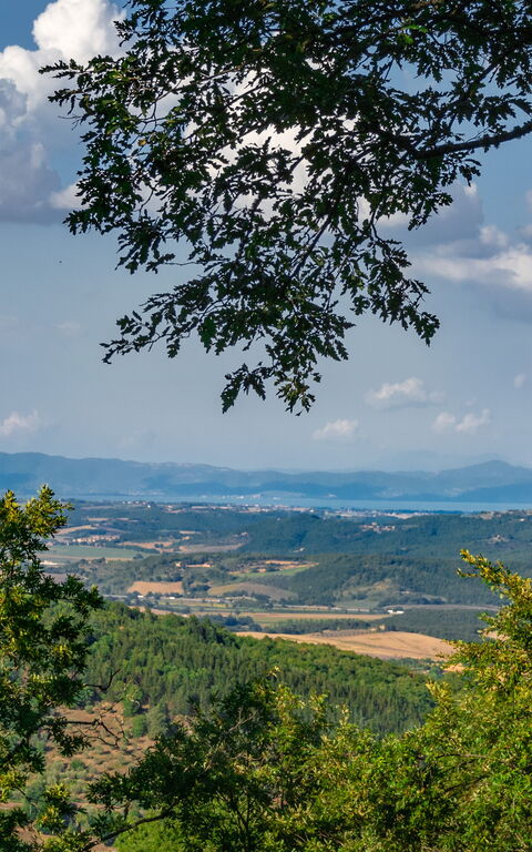 Villa Lucarella: Utomhus