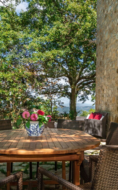 Villa Lucarella: Exteriör, Trädgård, Utomhus