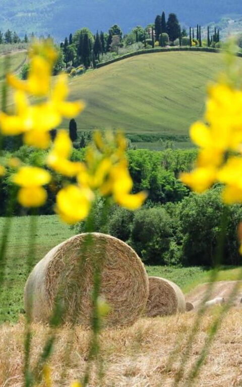 Palazzo Bello: Utomhus