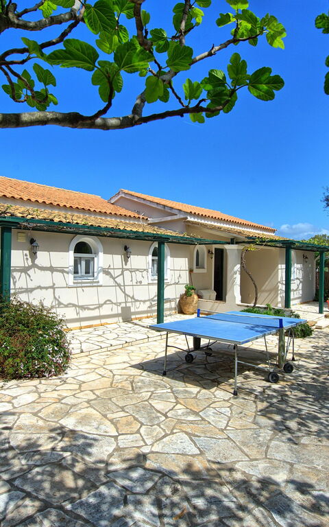 Votana House: Exteriör, Trädgård