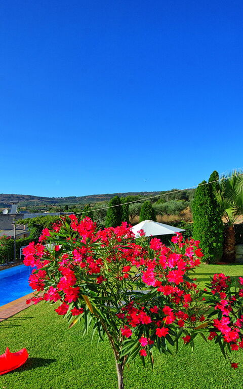 Villa Politini: slå samman, Visningar