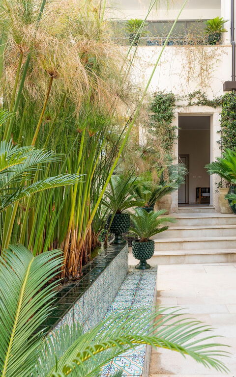 Aurispa: Balkong / terrass / uteplats, Utomhus