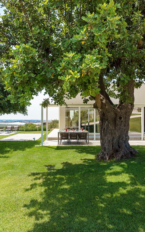 Villa Colleverde: Trädgård, Utomhus