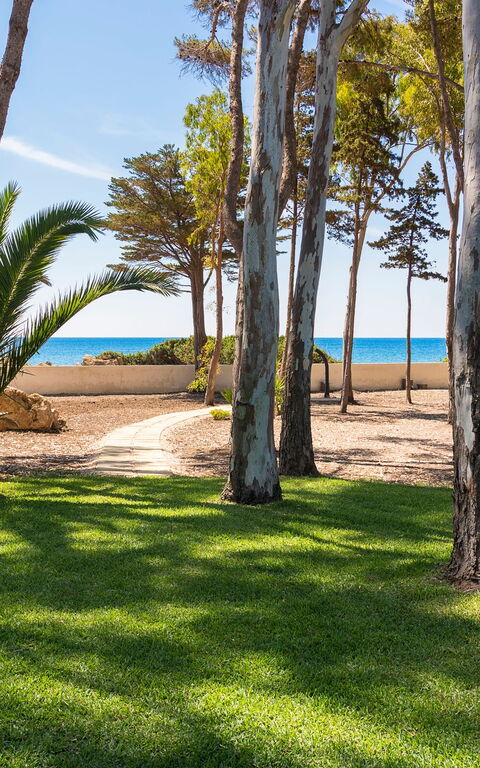 Marinella Punta Milocca: Trädgård, Utomhus