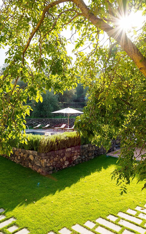 Villa Nerello: Trädgård