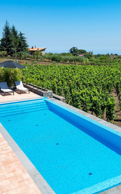 Villa Palmento Rosa: slå samman