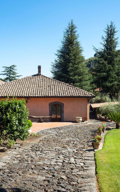 Villa Palmento Rosa: Trädgård, Utomhus