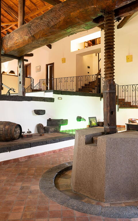 Villa Palmento Rosa: Vardagsrum