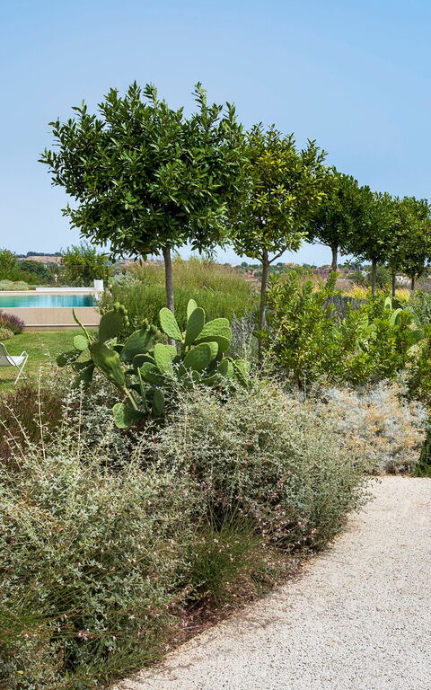 Villa Meravilla: Trädgård, Utomhus