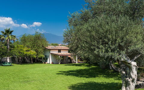 Semesterboende Casetta: Trädgård