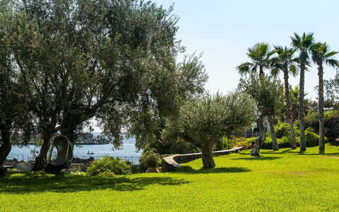 Semesterboende Casetta: Trädgård