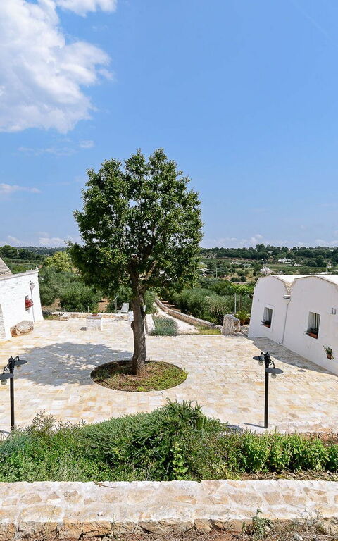 Trullo Oak