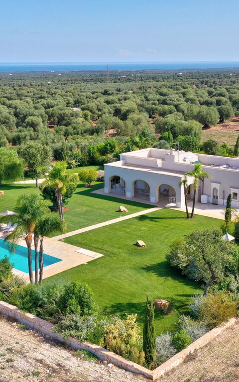 Villa Bellavista: slå samman, Trädgård, Visningar