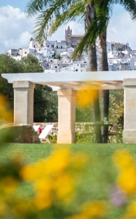 Villa Bellavista: Trädgård, Utomhus, Visningar