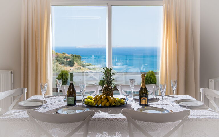 Villa Artemis: Lunchrum, Visningar