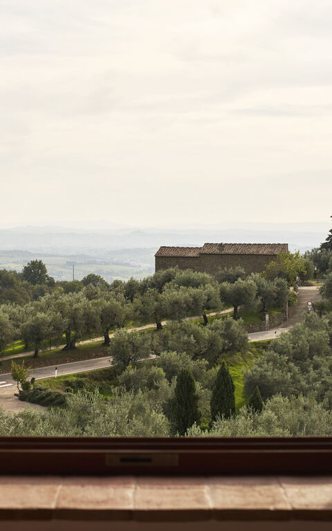 Casa Lionardo: Visningar