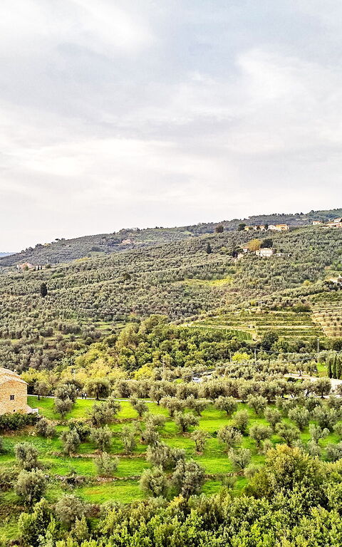 Casa Lionardo: Utomhus, Visningar