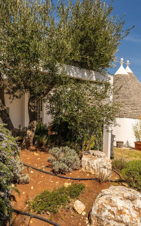 Tenuta Minnea: Exteriör, Trädgård