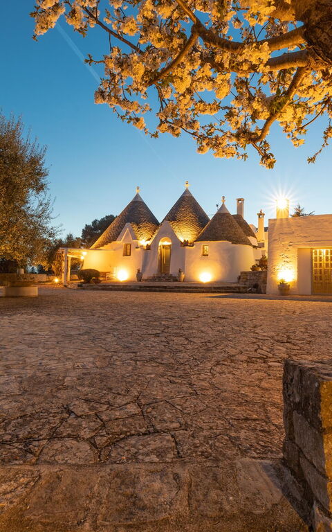 Tenuta Minnea: Exteriör, Huvudentré