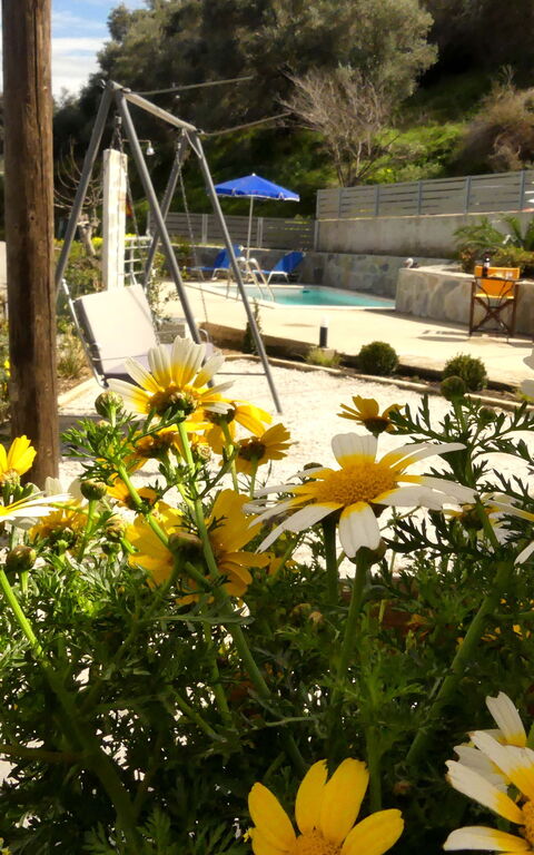 Aretousa: Trädgård, Visningar