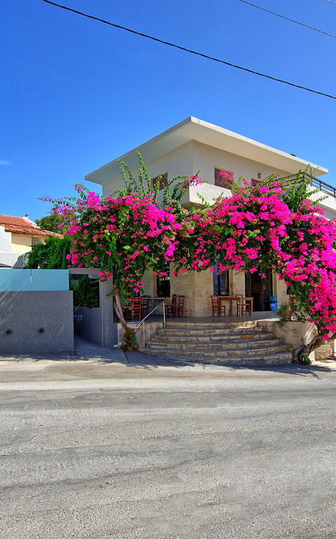 Casa Cafenio: Utomhus