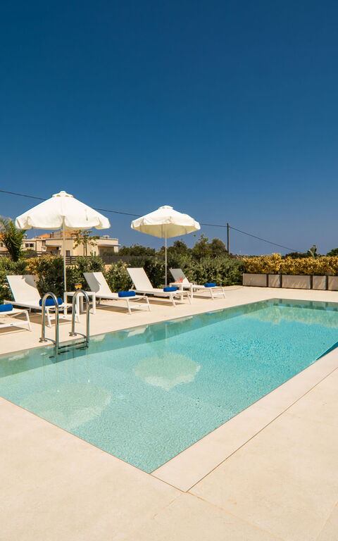 Iris: slå samman, Trädgård, Utomhus