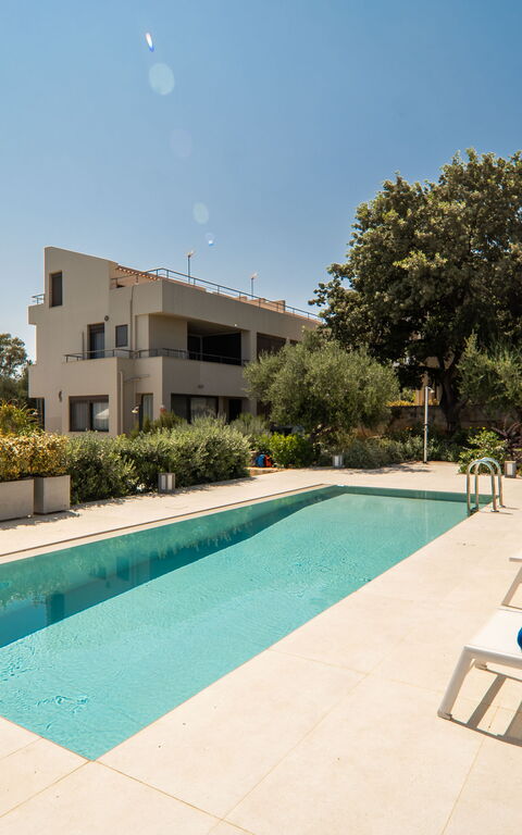 Iris: slå samman, Trädgård, Utomhus