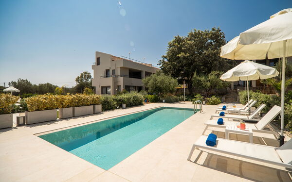 Iris: slå samman, Trädgård, Utomhus