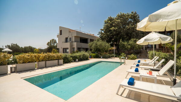 Iris: slå samman, Trädgård, Utomhus