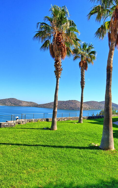 Villa Marina: Trädgård, Utomhus, Visningar