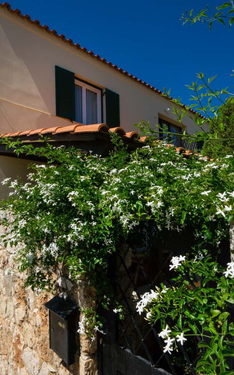 Villa Giani: Exteriör, Trädgård