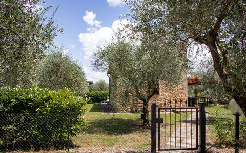 Semesterboende Capanna: Exteriör, Trädgård