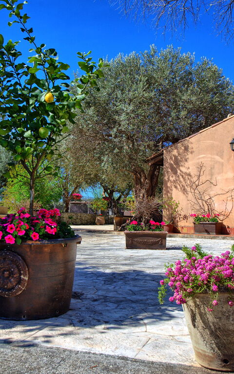 Villa Maddalena: Balkong / terrass / uteplats, Exteriör, Utomhus