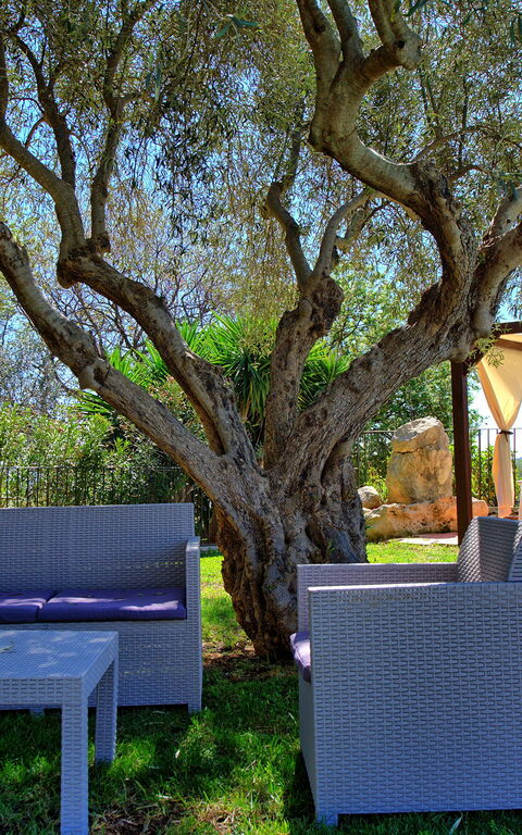 Villa Maddalena: Exteriör, Trädgård, Utomhus