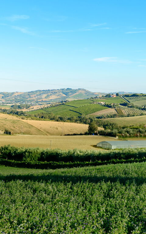 Villa Vittoria: Utomhus, Visningar