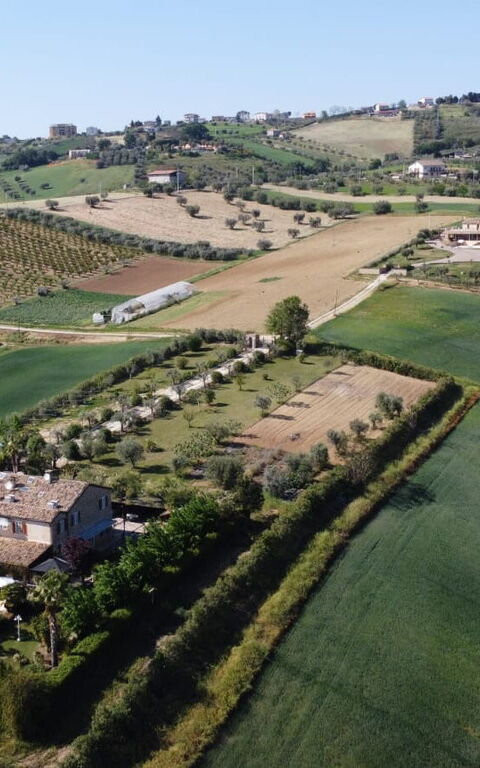 Villa Vittoria: Utomhus