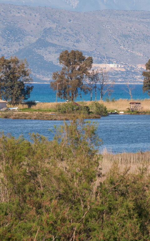 Villa Otter: Utomhus, Visningar