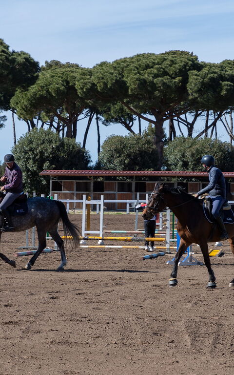 Villa Dolce Vita: Aktiviteter, Utomhus