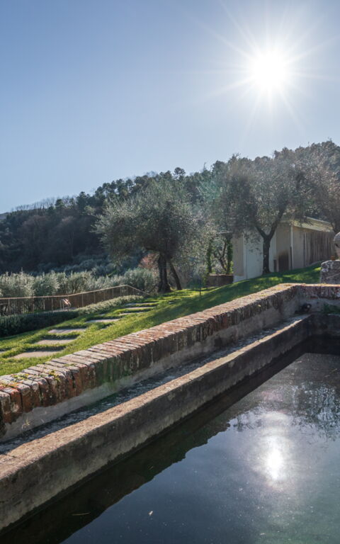 Villa Bellostare: Exteriör, Trädgård, Utomhus