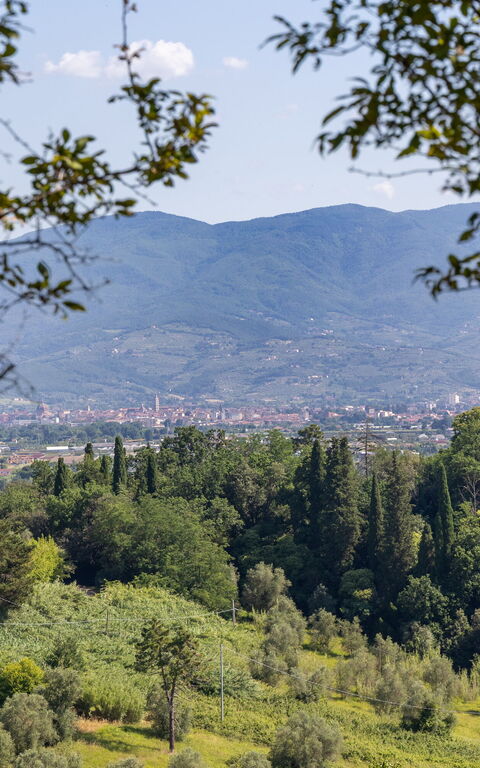 Villa Bellostare: Utomhus, Visningar