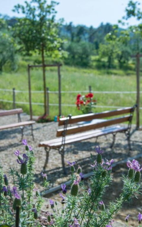 Bello Stare: Exteriör, Utomhus