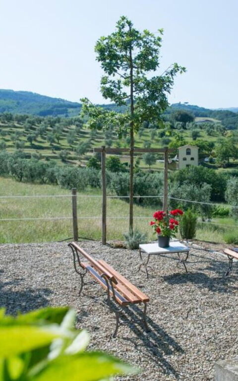 Bello Stare: Exteriör, Utomhus