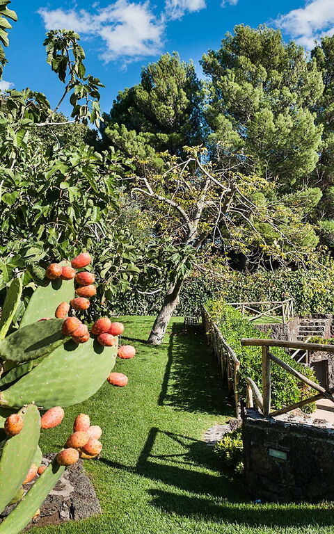 Villa Montefiore: Trädgård