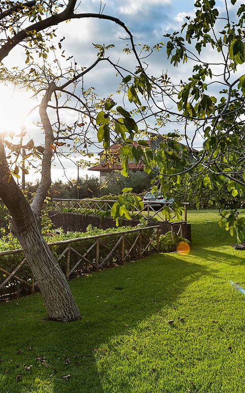 Villa Montefiore: Trädgård