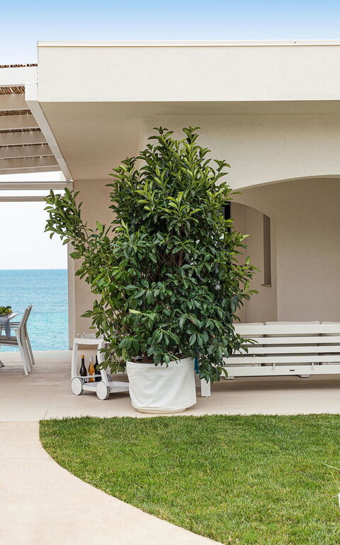 Villa Hermes: Exteriör, slå samman, Utomhus